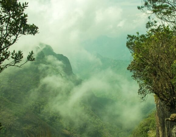 Silent Valley View