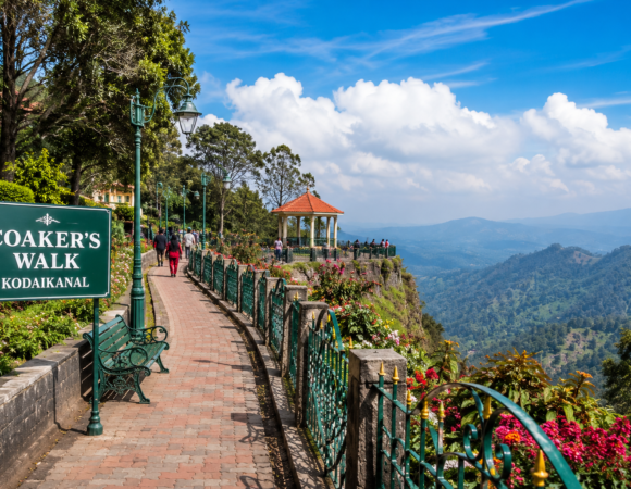 Caokers Walk