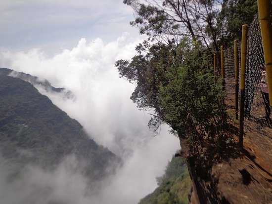 Kodaikanal Taxi Service for Comfortable Local Sightseeing and Outstation Travel